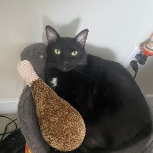 Meet your Posher, Emma